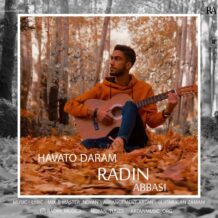 دانلود آهنگ جدید رادین عباسی به نام هواتو دارم